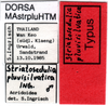 CollectionObject 1521404; 345bb1b9-dfaa-442b-9a08-1662e7382539: labels (holotype). (CollectionObject).
