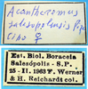 CollectionObject 1542657; 1d40070c-29b1-4e73-8759-b94cad83691b: labels (holotype). (CollectionObject).