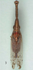 Habitus, dorsal view: !! display not done !! on Dorysarthrus mobilicornis Puton, 1895: (Observation).