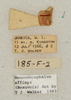 CollectionObject 1595717; 2adf3d38-e68c-47c3-bcf8-96bd8b6f0ef3: labels. (CollectionObject).