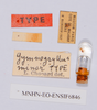 CollectionObject 1539971; 72298e63-3818-4b07-b0c2-e1d172f0f955: labels (holotype). (CollectionObject).