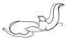 Aleuas albinae Carbonell, 2008: Fig. 27C. endophallus, lateral view. (Otu).