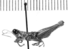 CollectionObject 1525054; 5aa5d0a6-987c-48ba-9b36-c20614ed7231: male, lateral view (holotype). (CollectionObject).