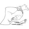 Pygofer, lateral view: Pygofer, lateral view. (Observation).