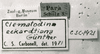 CollectionObject 1502819; 5c1fd3ce-3772-42c9-bdb0-9b6e749abf34: Image Carbonell, C.S. labels. (CollectionObject).