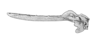 Morphopus phyllocerus (Bolívar, 1887): Pl. 1, Fig. 6. male pronotum, lateral view. (Otu).