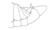 Dichroplus alejomesai Liebermann, 1967: Fig. 9. male, end of abdomen, lateral view. (Otu).