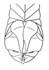 Atopotettix megalocephalus Brown, 1970: Fig. 41. male abdomen tip, caudal view. (Otu).