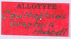 CollectionObject 1499664; 9c34b5b1-0c96-4b46-b47e-8c9dc1b37f98: label (allotype). (CollectionObject).