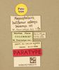 CollectionObject 2075977; NHMUK015982215, 3ae6fc98-af5f-4971-bae3-b187cb864a60: labels (paratype). (CollectionObject).