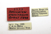 CollectionObject 1523005; 119934c1-b9e3-47f3-be78-d595597d670a: labels (holotype). (CollectionObject).
