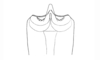 Baeacris maquiritare (Carbonell & Ronderos, 1973): Fig. 45. female, subgenital plate. (Otu).