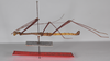 CollectionObject 1560248; 1a19e2b6-3447-48d5-a705-a531a0e15fc5: copyright ZMB, Berlin. male, lateral view (holotype). (CollectionObject).