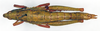 CollectionObject 1535548; a0b9d0a5-44f6-44a1-90fe-eb2047960e65: female, dorsal view (lectotype). (CollectionObject).