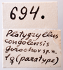 CollectionObject 1582015; 85550c59-ae05-4c57-882e-dc2547a25457: labels (paratype). (CollectionObject).