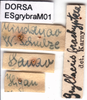 CollectionObject 1502555; 4157409d-9462-483f-b2f4-cf871b487440: labels. (CollectionObject).