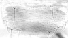 Connective.: !! display not done !! on Aphis (Aphis) oestlundi Gillette, 1927: alate viviparous female: Hairs on subgenital plate of A. oestlundi. (Observation).