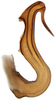 Aedeagus, lateral view: Varta rubrofasciata, aedeagus, laterally (INHS). (Observation).