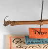 CollectionObject 1557897; db844dac-750c-4fcc-89d4-b469e4e1da0a: copyright ZMHB, Berlin. female: head & thorax, lateral view (holotype). (CollectionObject).