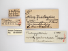 CollectionObject 1863614; ccd718d6-29ce-4746-b5bd-2dd086ab0b51: (CollectionObject).