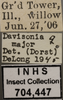Other: !! display not done !! on Davisonia major (Dorst, 1931): Labels. Labels for specimen used for dorsal, lateral and face view. (Observation).