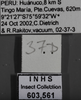 Other on Caldwelliola tharma (Young, 1977): Labels - dark green. Labels for the dark green specimen. (Observation).