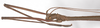 Manduria halconensis Hennemann & Conle, 1997: copyright F. Hennemann. male: head, lateral view (paratype). (Otu).