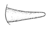 Eumastax apolinari Hebard, 1923: Pl. 11, Fig. 9. male, cercus, lateral view. (Otu).