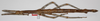 CollectionObject 1563490; de07c452-751f-4685-9c42-1435f6cd9768: copyright F. Hennemann. female (paratype). (CollectionObject).;CollectionObject 1563491; 50291e33-5ce1-404b-be41-102db5fb136b: copyright F. Hennemann. female (paratype). (CollectionObject).