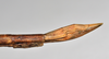 CollectionObject 1558564; 3ae685c8-f1c6-4bd0-85f7-d0b8fa72a781: copyright NTUC. female: end of abdomen, lateral view (syntype). (CollectionObject).;CollectionObject 1558565; b09dd22e-7f33-4771-b1d9-24d893a97422: copyright NTUC. female: end of abdomen, lateral view (syntype). (CollectionObject).