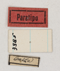 CollectionObject 1514289; cade1bb7-d563-41d7-abba-5508b5e74de8, MLP3385/2: labels (paratype). (CollectionObject).