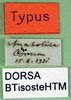 CollectionObject 1500655; df2d220c-0d15-45c5-9ff8-35e6486b1db4, DORSA BTisosteHTM: labels (holotype). (CollectionObject).