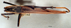 CollectionObject 1516181; a68823fd-f097-47a2-ab62-30e8185fb893: male, dorsal view (syntype). (CollectionObject).