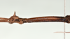 CollectionObject 1598208; QM T246825, 350e8788-2eba-44c5-89a1-27aaa31c73e3: copyright QM. male: head & thorax, lateral view (holotype). (CollectionObject).