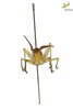 CollectionObject 1861678; Unioeste Cascavel SAOP-131F, 591439cf-cd73-429a-b911-be25eeca2d87: Female. Frontal view. (CollectionObject).