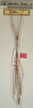 CollectionObject 1558094; 266b2434-62db-45b3-b306-45d9d5091073: copyright NMW, Vienna. male (holotype). (CollectionObject).