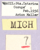 labels. Depicts CollectionObject 1499674; d771c40c-9363-43d2-91a2-0ecc71bd61f0, a CollectionObject.