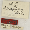 CollectionObject 1529699; 50d18432-674a-47b4-9286-35b50abfc62a: labels (holotype). (CollectionObject).