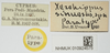 CollectionObject 1581313; 781513a4-1b25-4019-86d8-8be64cf1213e, NHMUK10924575: labels (paratype). (CollectionObject).