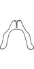 Connective on Anufrievia plana Yang & Zhang, 2018: Connective. (Observation).