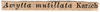 CollectionObject 1500351; de943730-1b82-4fdf-802f-881ad64a514d, DORSA BTamymutS01: label (holotype). (CollectionObject).