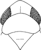 Head: Head, pro-, and mesothorax. (Observation).