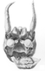 Ceuthophilus (Ceuthophilus) tenebrarum Scudder, 1894: Fig. 31. (male) epiproct. (Otu).