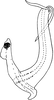 Aedeagus, lateral view on Arboridia (Arboridia) ata Dworakowska, 1980: Aedeagus, lateral view. (Observation).