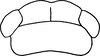 Nymph: (Observation).