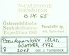 CollectionObject 1586370; 40b28fe3-848c-4dce-9cc4-a18fa8fa1859: labels. (CollectionObject).