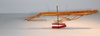 CollectionObject 1557739; db490008-f49e-4ccb-8d83-363d971772f0: copyright MNCN, Madrid. female, lateral view (syntype). (CollectionObject).