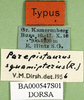 CollectionObject 1501517; c8458b68-86e5-40cf-ad7d-7eb92ad40683, DORSA BA000547S01: labels (holotype). (CollectionObject).