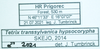 CollectionObject 1596107; f74e140b-d945-4fda-acac-db3e699979f1: labels. (CollectionObject).