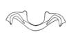 Zygoclistron trachystictum Rehn, 1905: Fig. 54. epiphallus. (Otu).